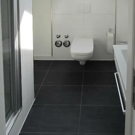 Appartement Moderne Dg-wohnung In Ruhiger Lage